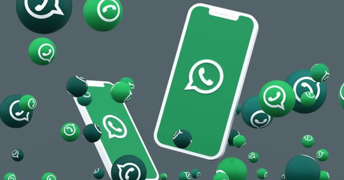 WhatsApp Automation agency in Kerala|Markwizard Global LLP